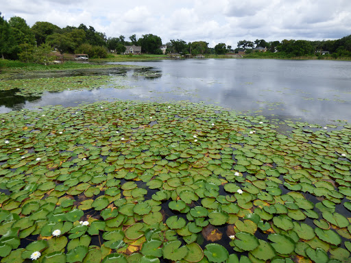 Zoo «Audubon Center for Birds of Prey», reviews and photos, 1101 Audubon Way, Maitland, FL 32751, USA