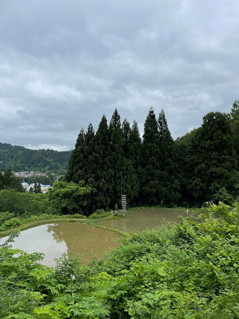 D010,観測所 / 牛島達治