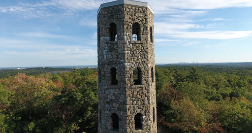 The Stone Tower