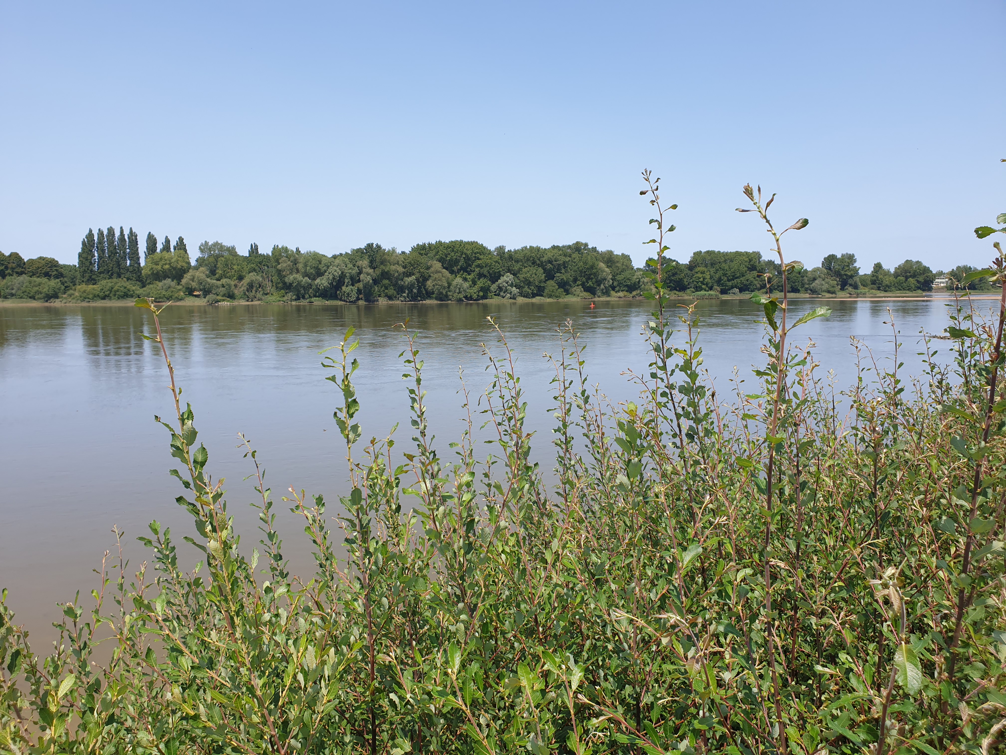 Photo n° 13 de l'avis de Angella.a fait le 23/06/2020 à 19:04