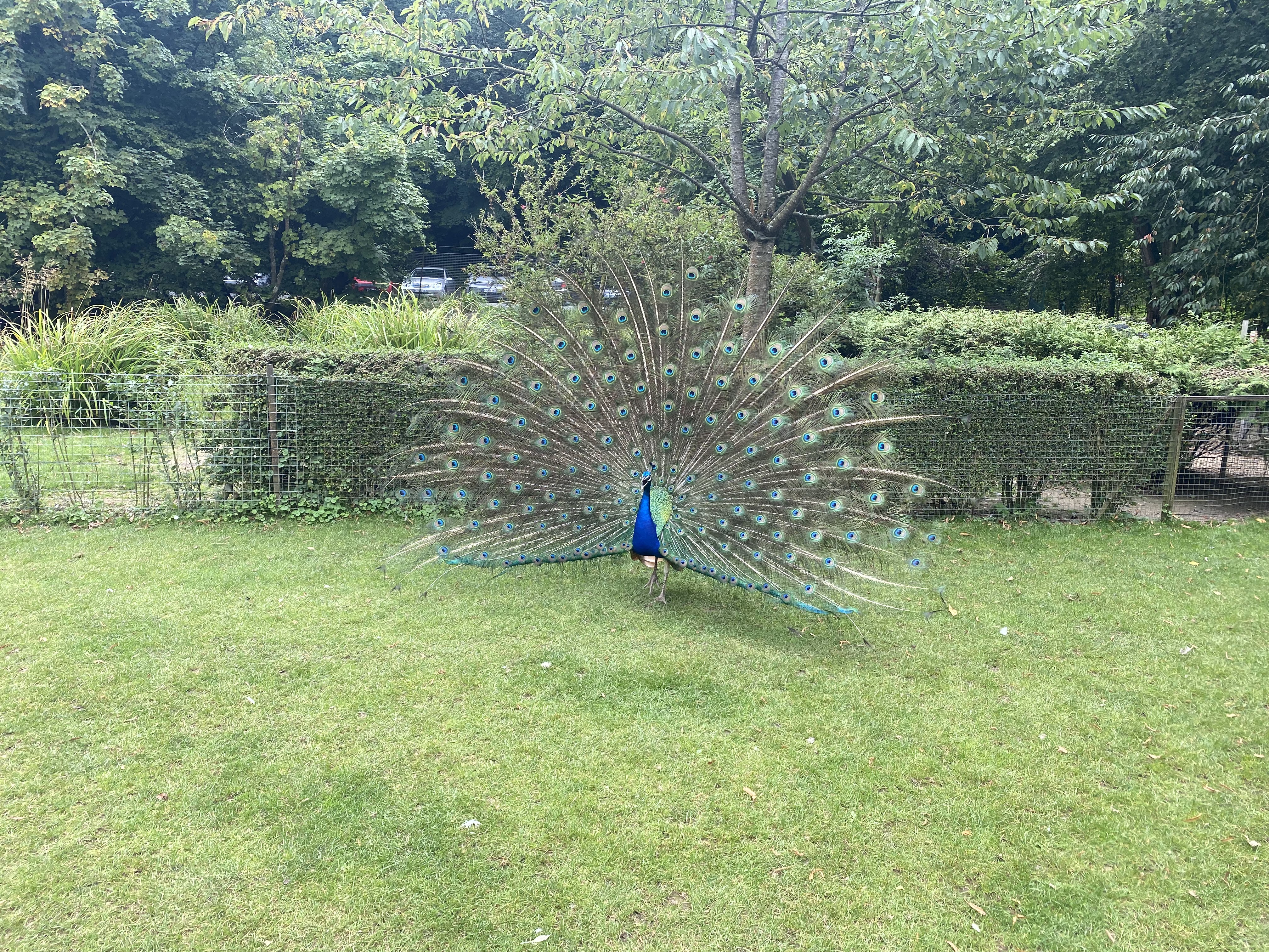 Photo n° 16 de l'avis de Mickael.e fait le 11/08/2023 à 05:54