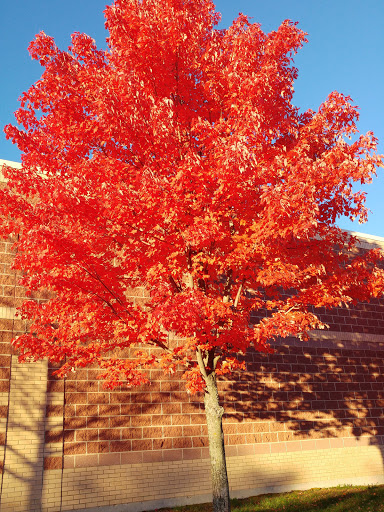 Department Store «Target», reviews and photos, 101 Commerce Way, Woburn, MA 01801, USA