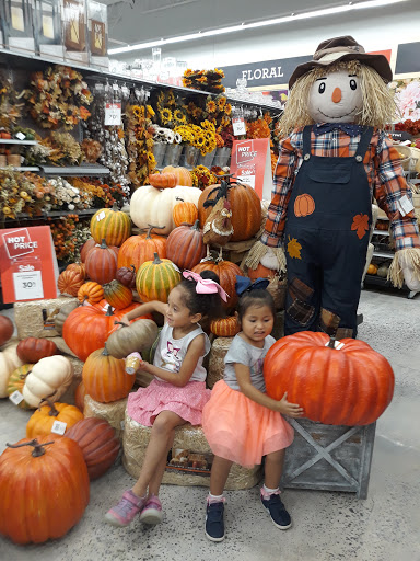 Craft Store «Michaels», reviews and photos, 4400 Fort Jackson Blvd #200, Columbia, SC 29209, USA