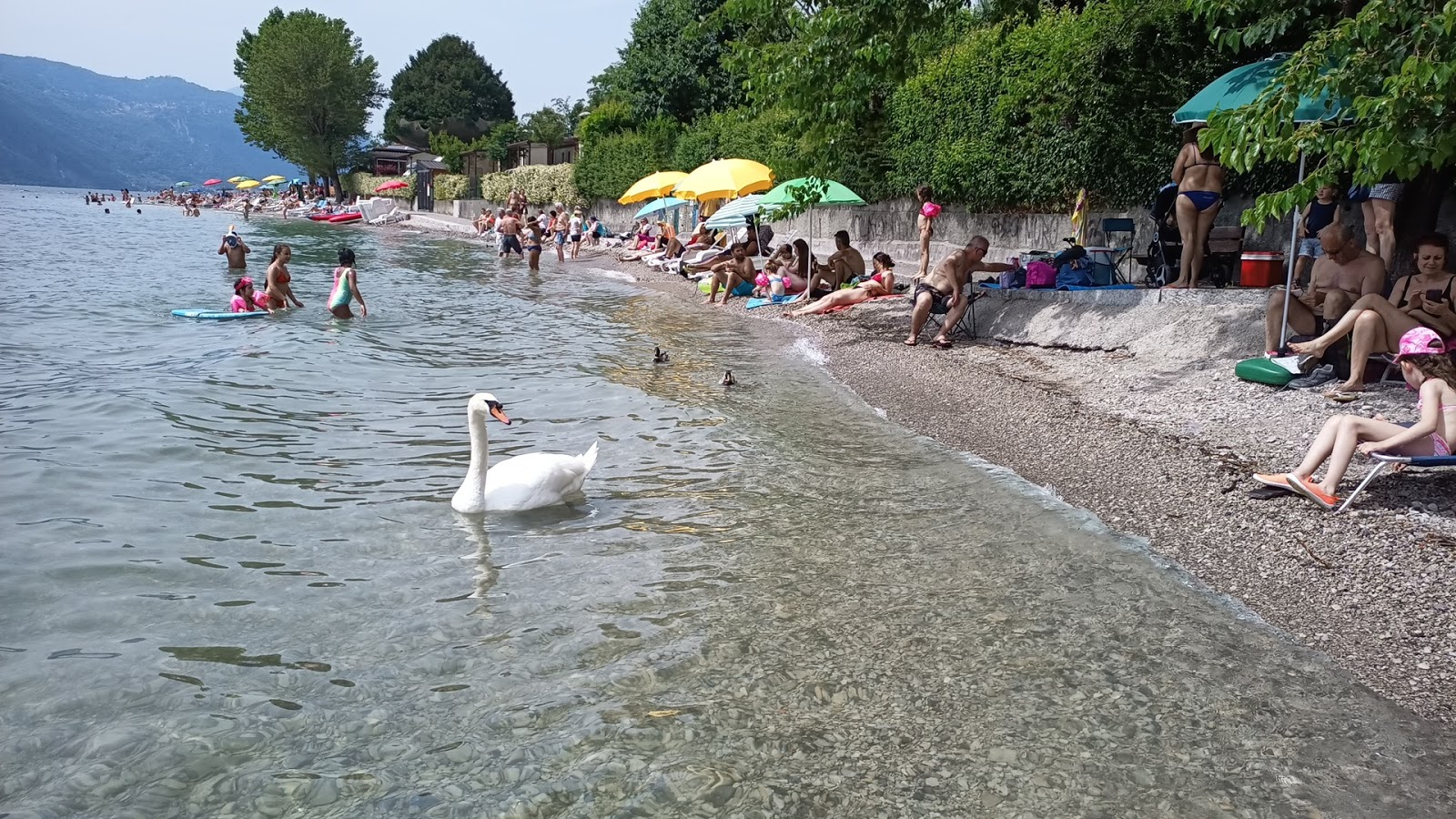 Photo of Spiaggia Camping Abbadia Lariana with very clean level of cleanliness