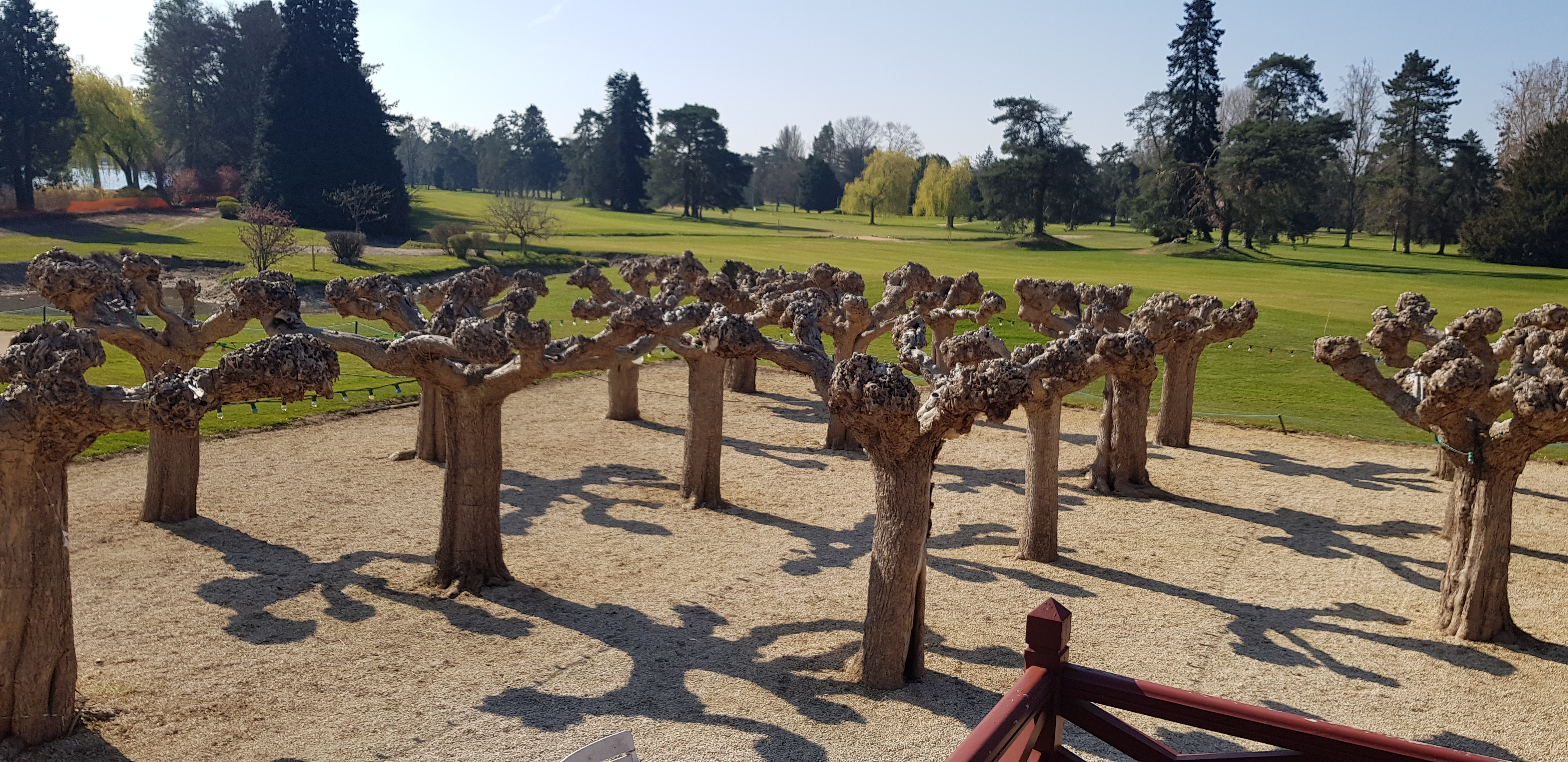 Photo n° 1 de l'avis de Cedric.a fait le 14/05/2019 à 23:15