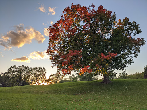 Parc Bernard-Landry