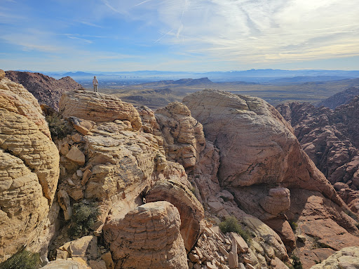 Calico View