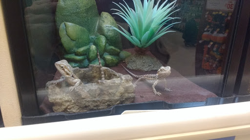 Pet Supply Store «PetSmart», reviews and photos, 1125 Hover St, Longmont, CO 80501, USA
