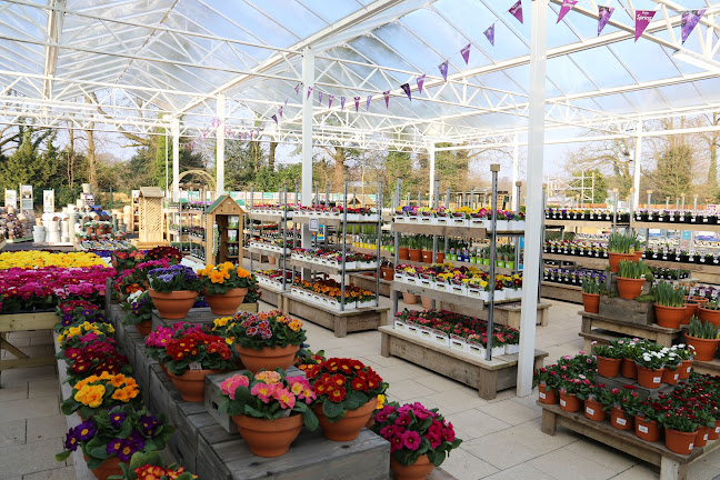 Reviews of Squire's Garden Centre in Woking - Landscaper