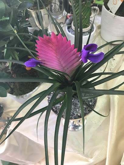 iris çiçekçilik