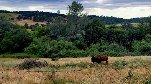 Winery «Naggiar Vineyards», reviews and photos, 18125 Rosemary Ln, Grass Valley, CA 95949, USA