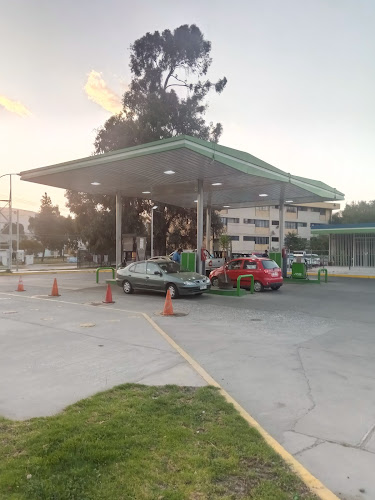 Opinii despre SESA în Valparaíso - Gasolinera