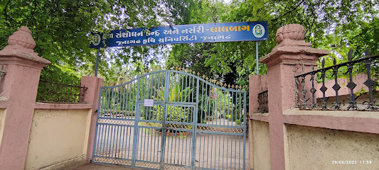 Lalbaug Nursery