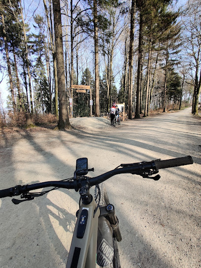 Höckler Trail by Züritrails