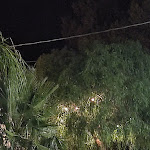 Photo n°3 de l'avis de Roberta.i fait le 06/09/2021 à 11:02 sur le  Ristorante Pizzeria La Pineta à Santa Cesarea Terme