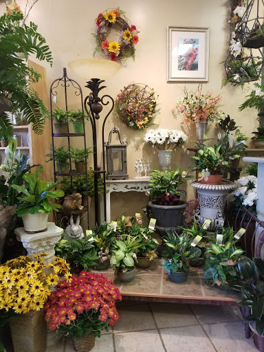 Botanica Flowers and Gifts