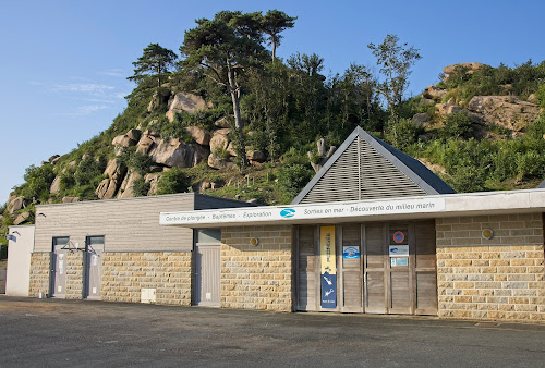 Centre de formation Centre Activités Plongée ( CAP Trébeurden) - Local du port Trébeurden