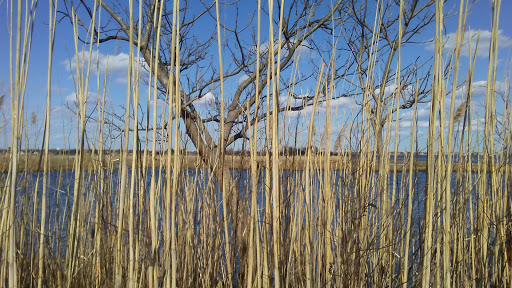 Golf Club «The Golf Club at Middle Bay», reviews and photos, 3600 Skillman Ave, Oceanside, NY 11572, USA