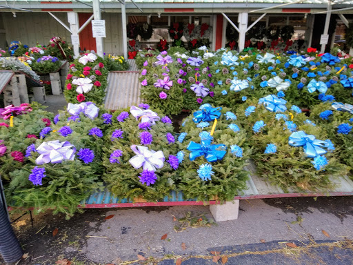 Florist «Pinters Flowerland», reviews and photos, 6830 Rawsonville Rd, Belleville, MI 48111, USA