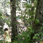 Photo n°13 de l'avis de veiner.e fait le 30/06/2019 à 18:12 sur le  Badia di Moscheta Srl à Firenzuola