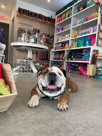 The Modern Dog Company - Photo 6 - Car repair in Nashville, TN, Nashville