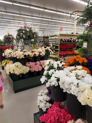 Craft Store «Hobby Lobby», reviews and photos, 910 Great E Plaza, Niles, OH 44446, USA