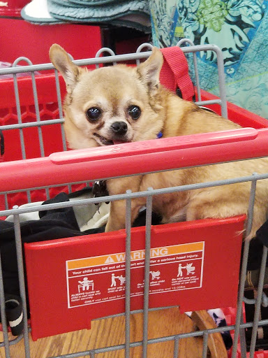 Thrift Store «Savers», reviews and photos