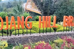 Kamojang Hill Bridge image