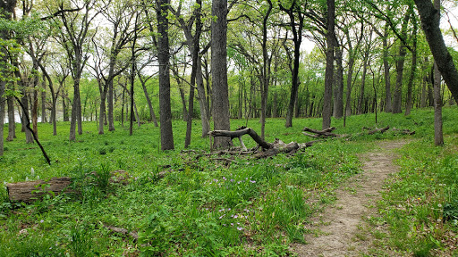 Nature Preserve «Penny Road Pond», reviews and photos, Penny Rd, Barrington, IL 60010, USA