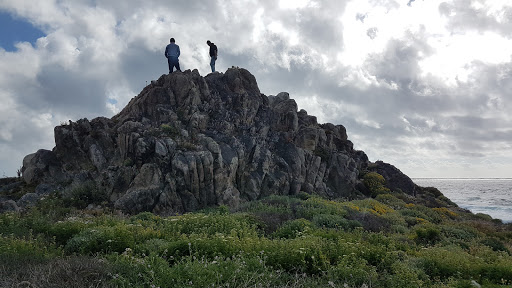 Golf Course «Monterey Peninsula Dunes Golf Course», reviews and photos, 3000 Club Rd, Pebble Beach, CA 93953, USA
