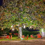 Photo n°2 de l'avis de Andrea.o fait le 06/06/2021 à 14:02 sur le  Certosa di Maggiano à Siena