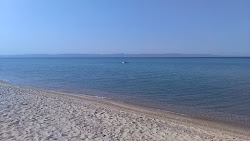 Mecidiye coast beach'in fotoğrafı çok temiz temizlik seviyesi ile
