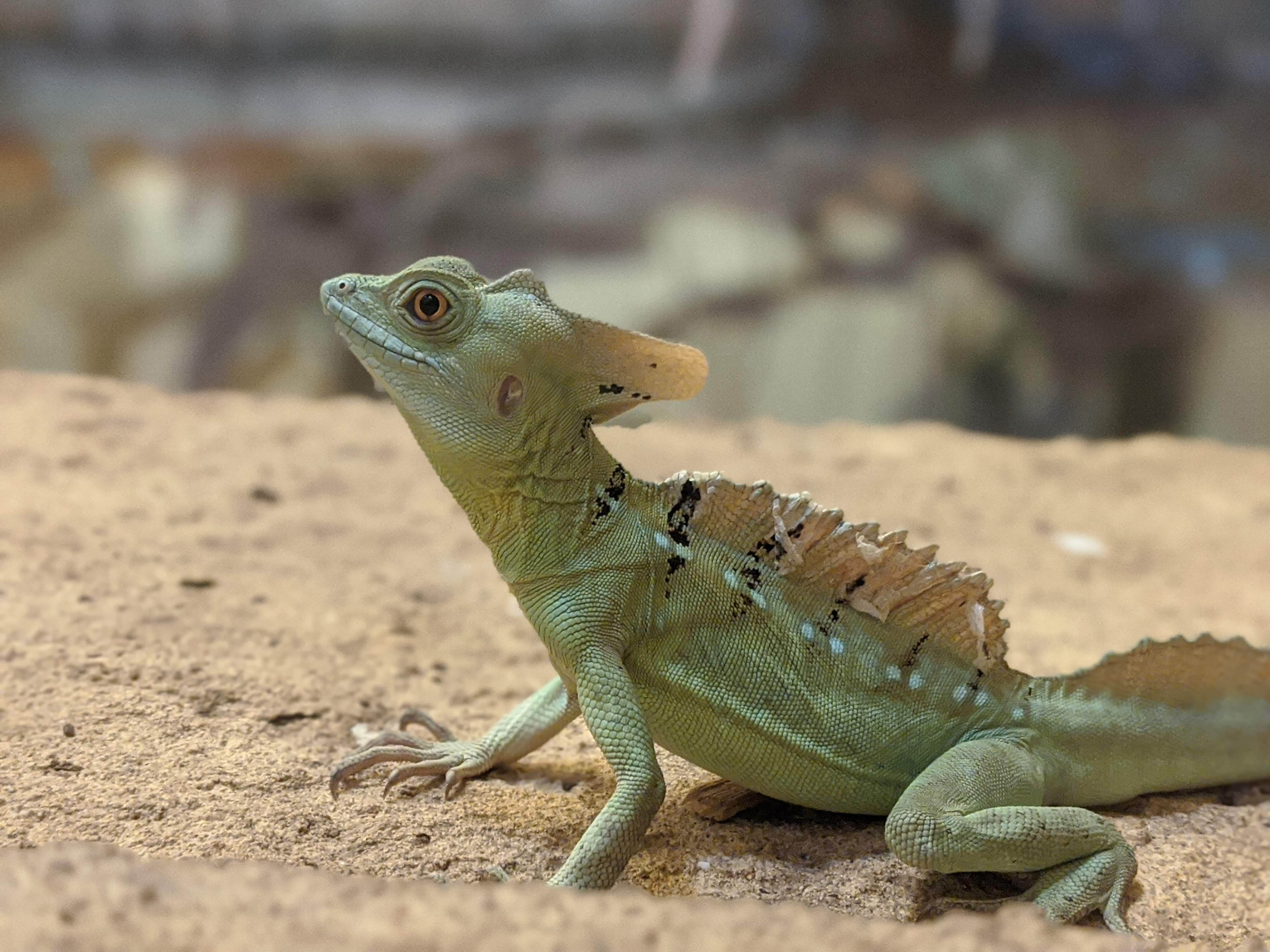 Photo n° 1 de l'avis de Gabin.u fait le 09/12/2013 à 19:36