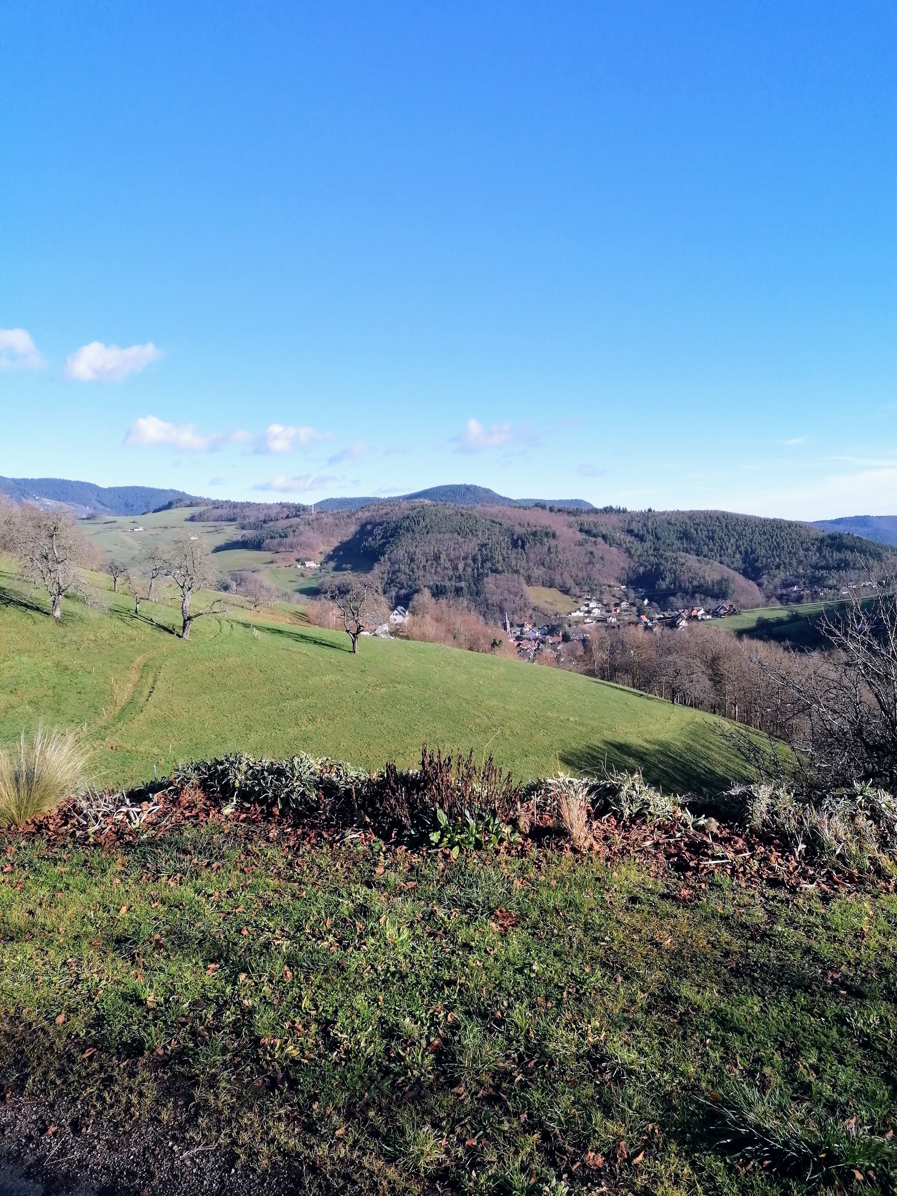 Photo n° 1 de l'avis de BREDEL.u fait le 04/01/2023 à 17:19