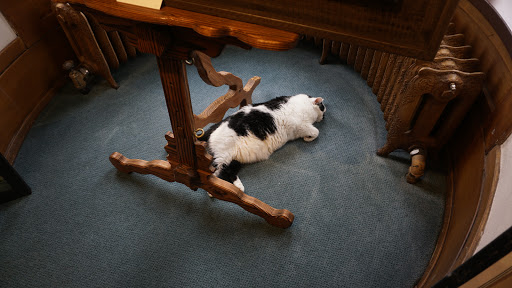 Art Gallery «Eccles Community Art Center», reviews and photos, 2580 Jefferson Ave, Ogden, UT 84401, USA