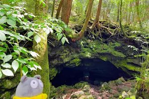 The Dragon Cave image