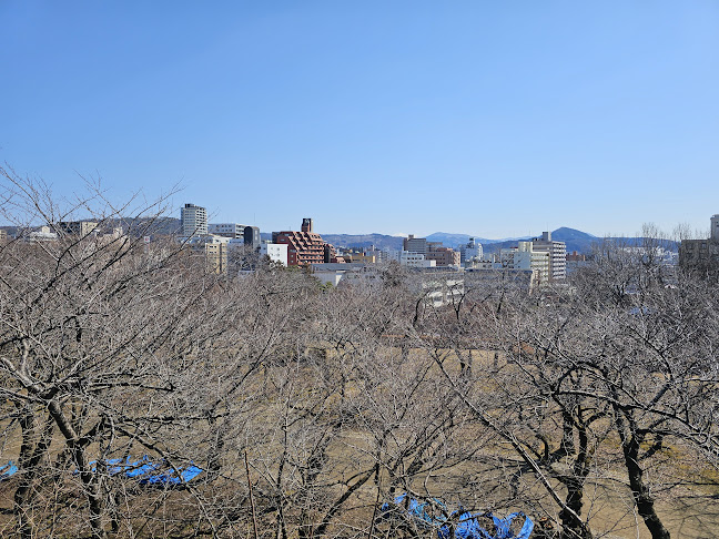 Opinii despre 盛岡城跡公園 în 盛岡市 - その他