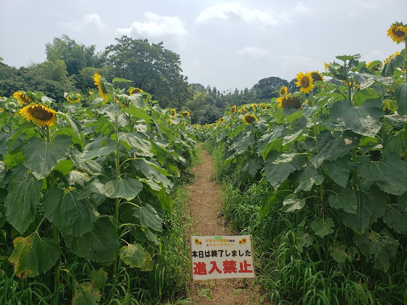 龍ケ崎市馴馬財産区会館 茨城県龍ケ崎市馴馬町 コミュニティ ガーデン グルコミ