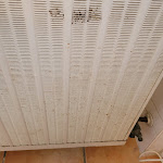 Photo n°3 de l'avis de Susanne.e fait le 02/11/2023 à 13:53 sur le  zur Auszeit à Traunreut