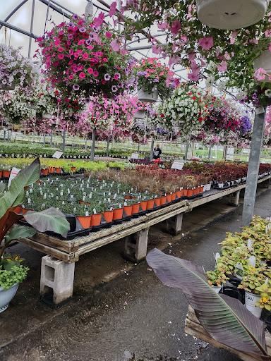 Plant Nursery «Blooming Acres», reviews and photos, 7561 State Rd, Wadsworth, OH 44281, USA