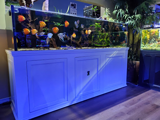 Tropical Fish Store «Neptune Aquatics», reviews and photos, 1238 N 5th St, San Jose, CA 95112, USA