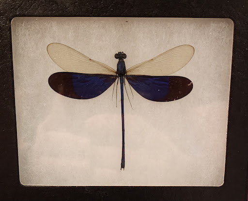 Explore beginner tattoo ideas, creative tattoo ideas in Onalaska, available at Rock Bottom Tattoo Studio