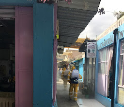 Benito Juárez Market photo