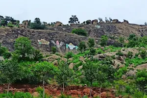 Gedare Hill image