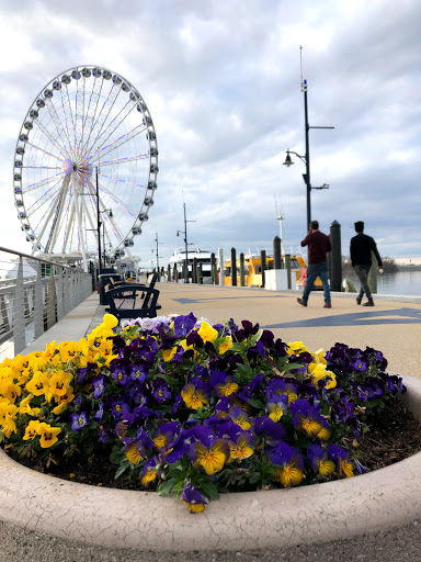 Tourist Attraction «National Harbor», reviews and photos, 165 Waterfront St, Oxon Hill, MD 20745, USA