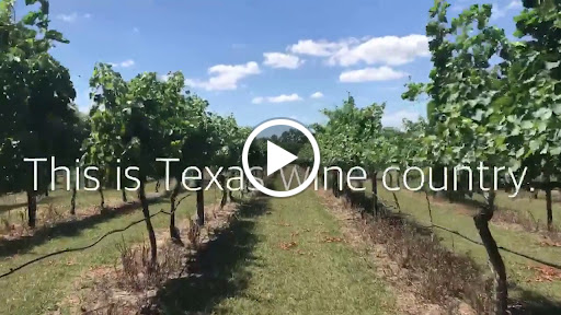 Winery «Westcave Cellars Winery», reviews and photos, 25711 Hamilton Pool Rd, Round Mountain, TX 78663, USA