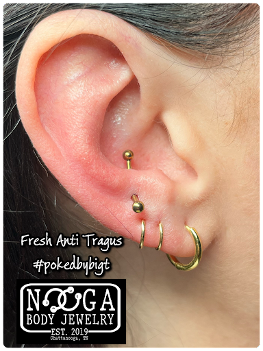 Explore cerberus tattoo ideas, creative tattoo ideas in Chattanooga, available at Nooga Body Jewelry