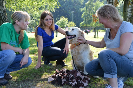 Tierarztpraxis Hankensbüttel unter Hankensbüttel, 