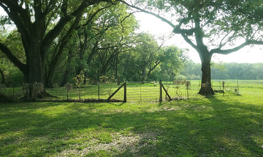 Golf Course «Austin Bayou Golf Course and RV Park», reviews and photos, 2111 County Rd 33, Danbury, TX 77534, USA