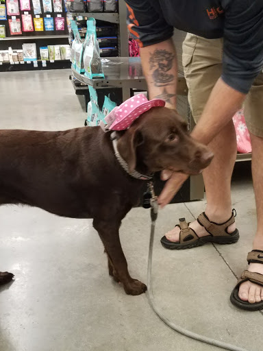Pet Supply Store «Petco Animal Supplies», reviews and photos, 9350 US 49 a, Gulfport, MS 39503, USA
